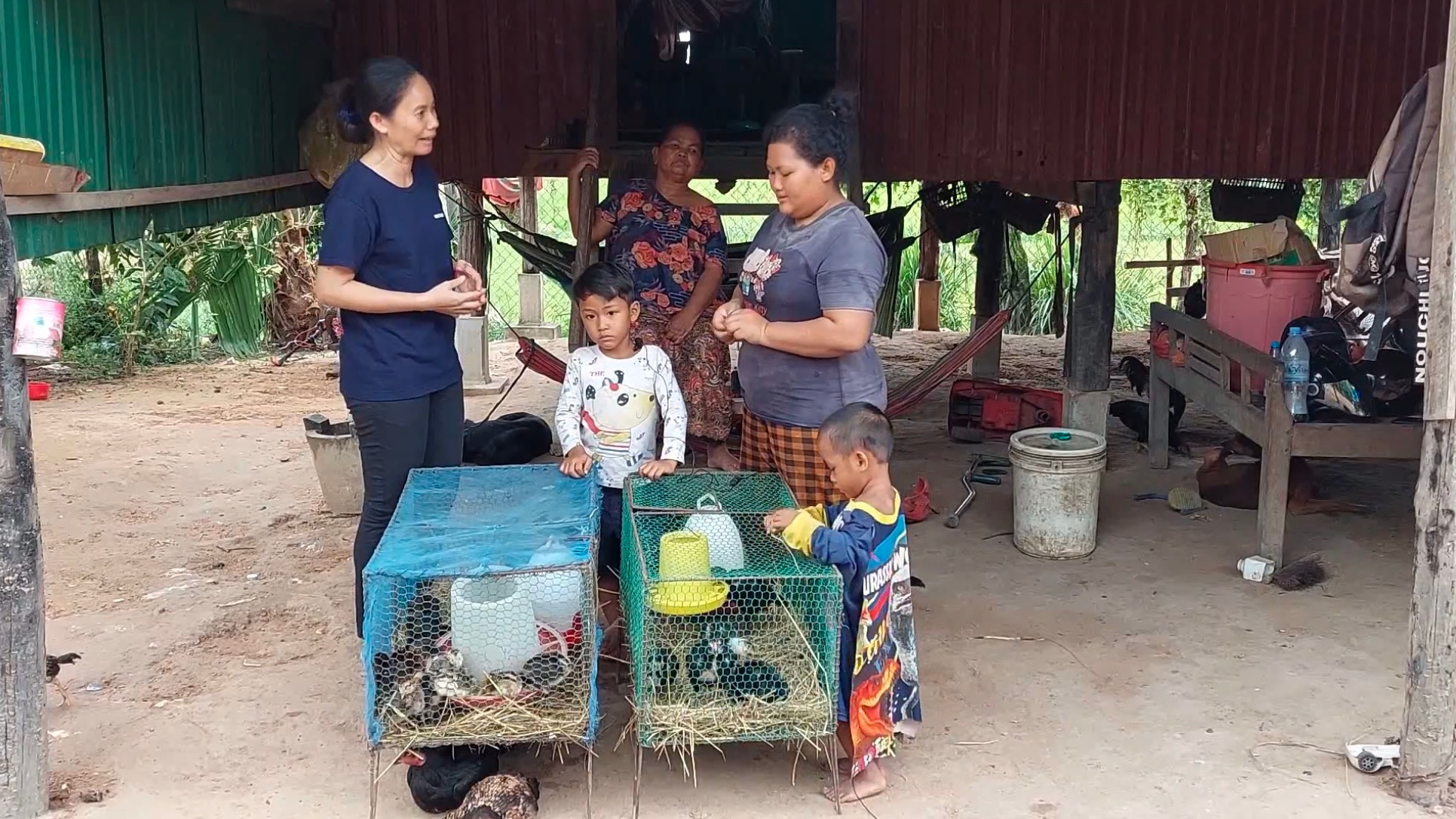 Video - Chicken Raising Project