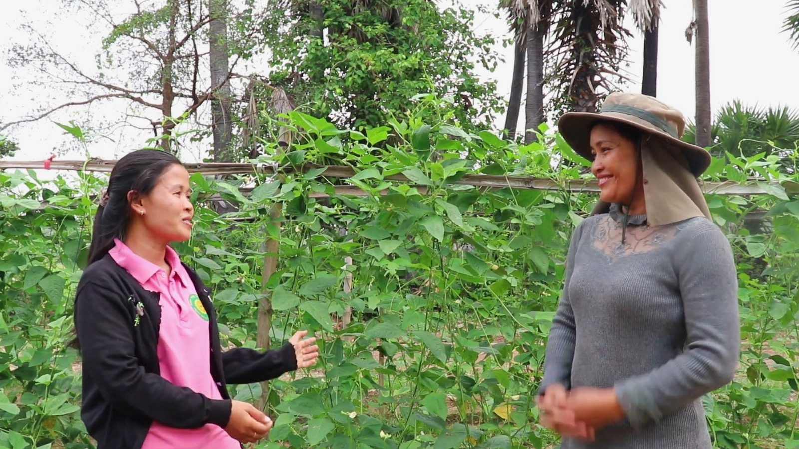 Video - Success Story - Home Food Garden Program - Heap's Garden