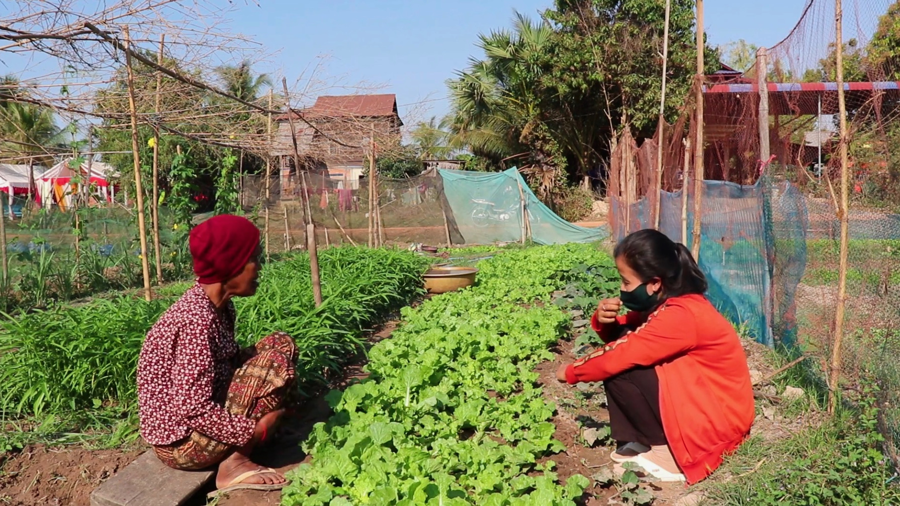Video - Success Story - Home Food Garden Program - Mai's Garden